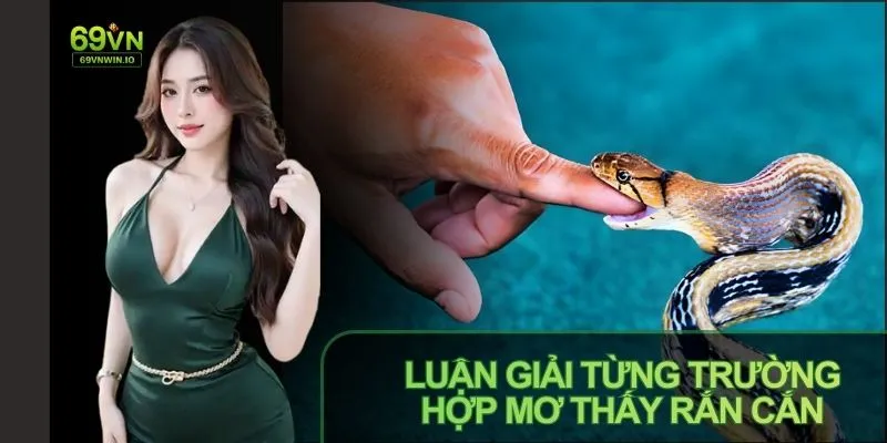 Nếu mơ thấy rắn cắn nhắc nhở bạn quan tâm gia đình