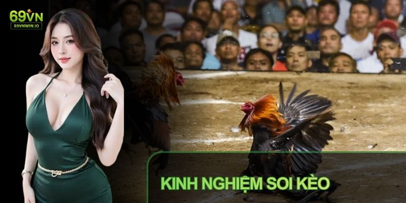 Soi kèo hiệu quả cần phương pháp tiếp cận có chọn lọc