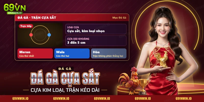 Đá gà cựa sắt 69VN với bảng trận trực tiếp, loại cựa kim loại nhọn và ba cửa Meron, Wala, Hòa