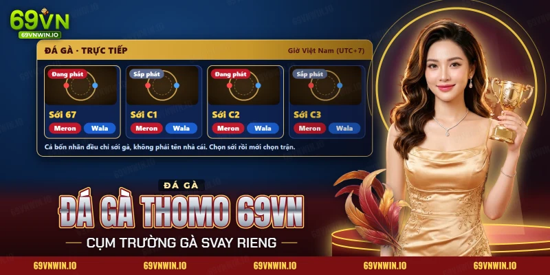 Đá gà Thomo 69VN với danh sách các sới đang phát trực tiếp và hai cửa Meron, Wala