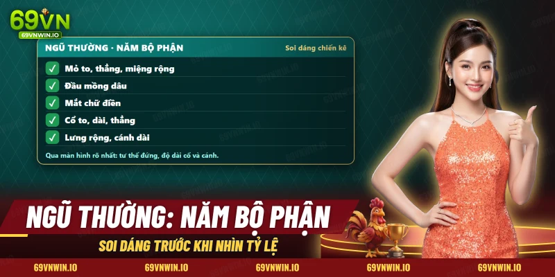 Năm bộ phận của ngũ thường gồm mỏ, mồng, mắt, cổ, lưng và cánh khi soi dáng chiến kê