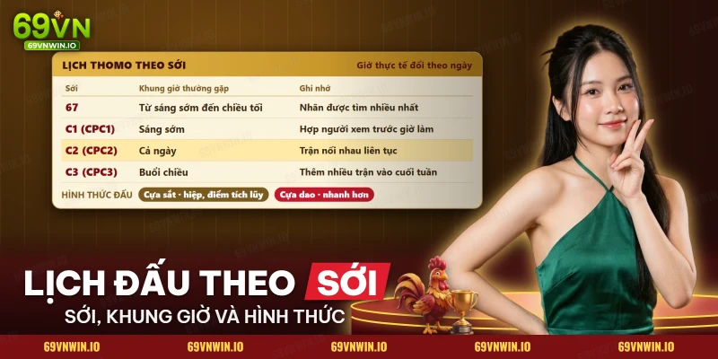 Bảng lịch đấu theo từng sới của đá gà Thomo kèm khung giờ và hình thức đấu